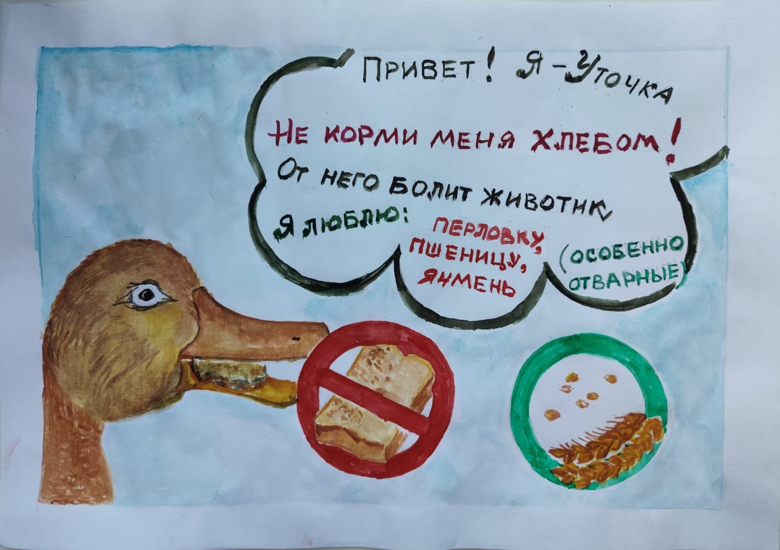 Конкурсная работа