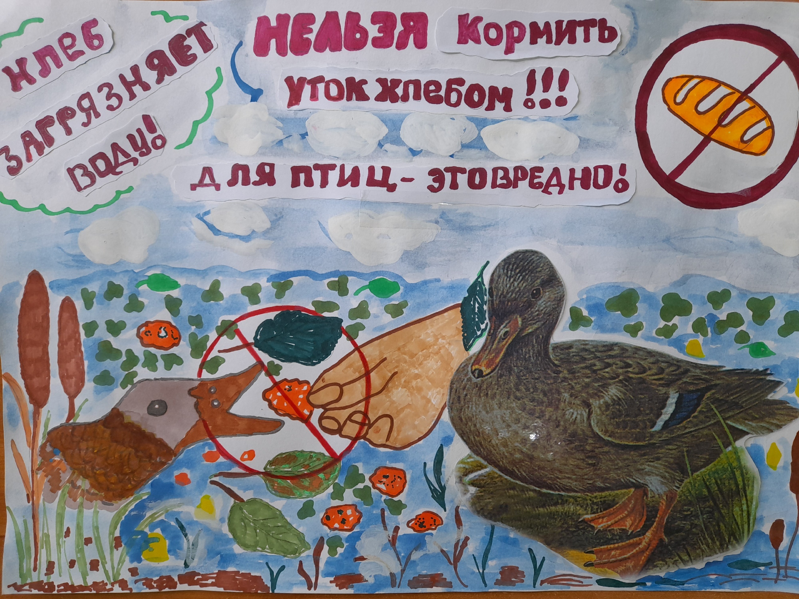 Конкурсная работа