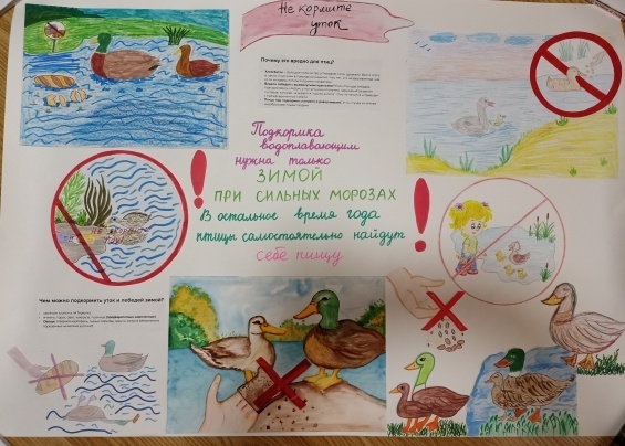Конкурсная работа