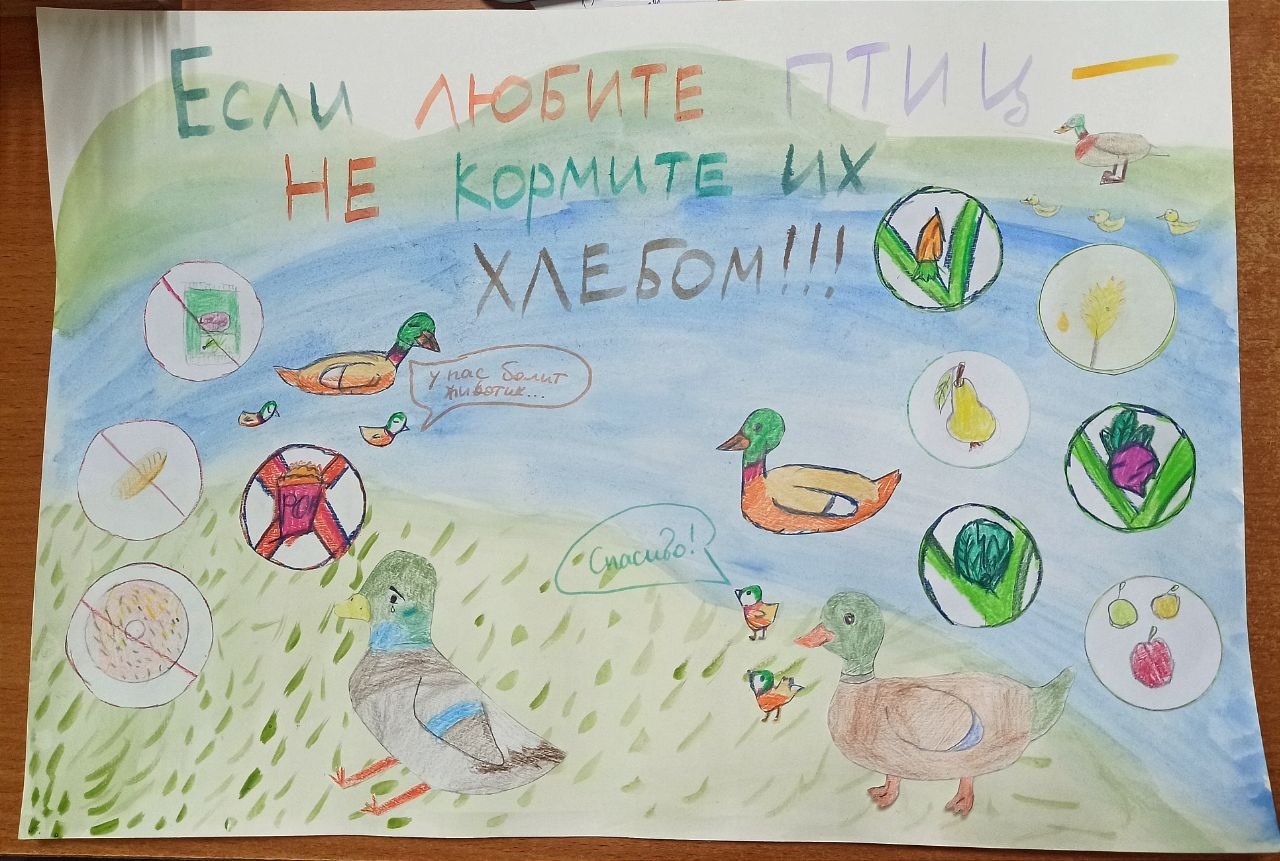 Конкурсная работа