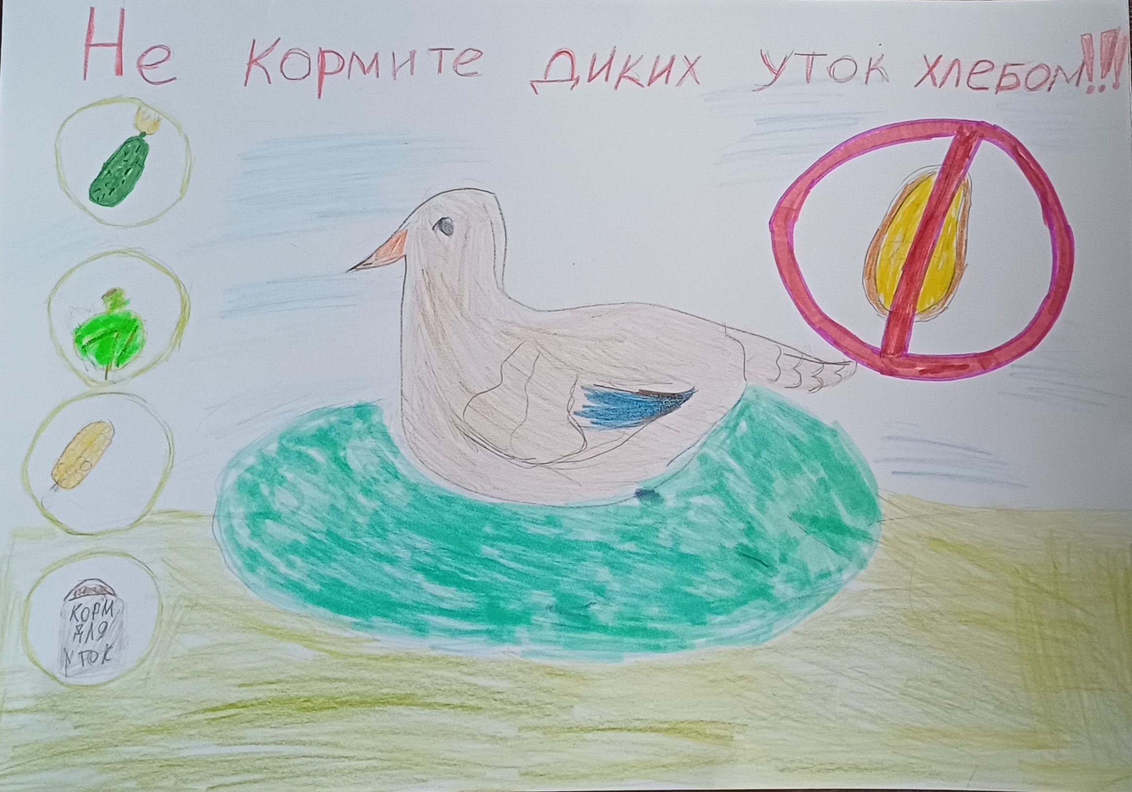 Конкурсная работа